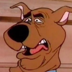 Meet your Posher, Vineet